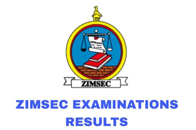 ZIMSEC 2023 O level November Pass rate and results