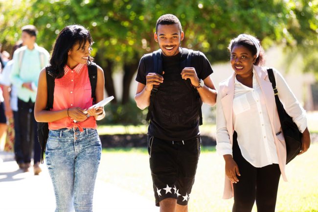 Explaining ZIMSEC, HEXCO and ZIMCHE functions in Zimbabwe education system